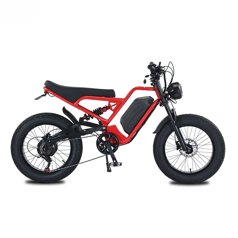 SXLL SXLL13Ah lithium batterij - 48V 1500W Rear Hub Motor With Battery recensie en prijs